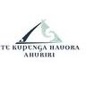 Te Kupenga Hauora - Ahuriri