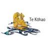 Te Kōhao Health - Miro O Te Ora