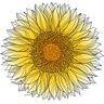 60PLUS Support & Counselling