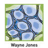 Dr Wayne Jones - General, Breast & Oncology Surgeon